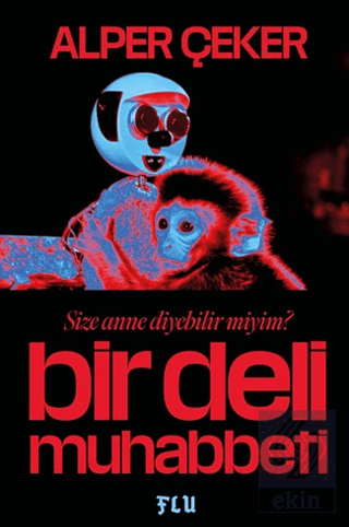 Bir Deli Muhabbeti