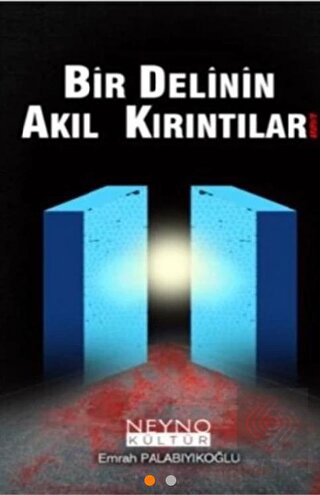 Bir Delinin Akıl Kırıntıları