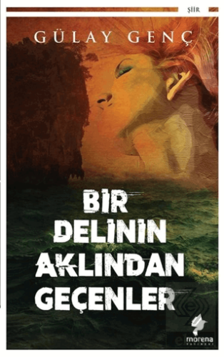 Bir Delinin Aklından Geçenler