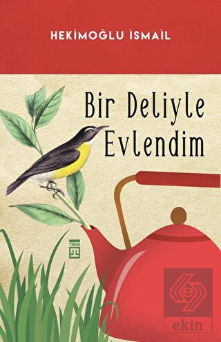Bir Deliyle Evlendim