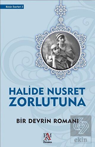 Bir Devrin Romanı