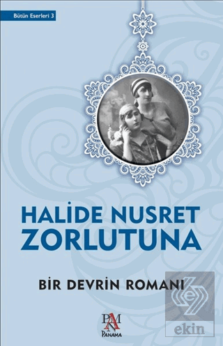 Bir Devrin Romanı