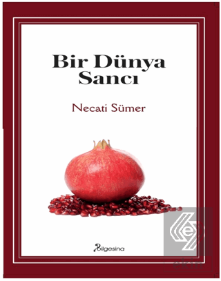 Bir Dünya Sancı