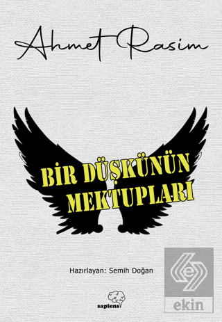 Bir Düşkünün Mektupları