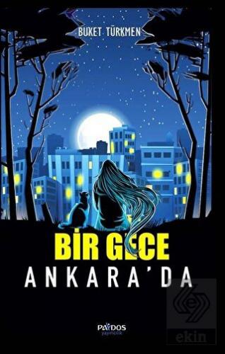 Bir Gece Ankara'da