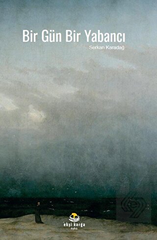 Bir Gün Bir Yabancı