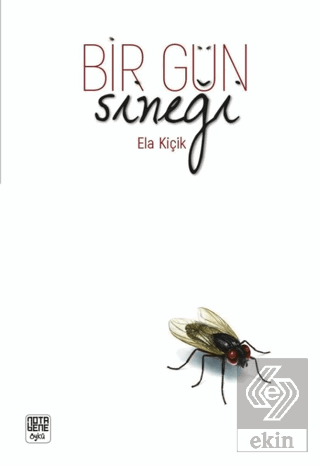 Bir Gün Sineği