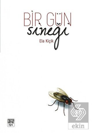 Bir Gün Sineği