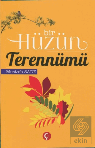 Bir Hüzün Terennümü