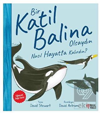 Bir Katil Balina Olsaydın Nasıl Hayatta Kalırdın?