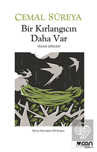 Bir Kırlangıcın Daha Var