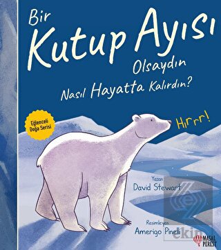 Bir Kutup Ayısı Olsaydın Nasıl Hayatta Kalırdın?