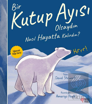 Bir Kutup Ayısı Olsaydın Nasıl Hayatta Kalırdın?