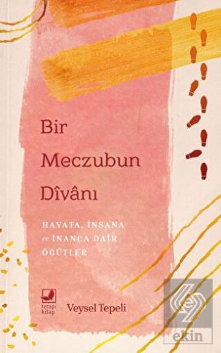 Bir Meczubun Divanı