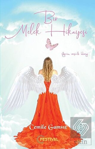 Bir Melek Hikayesi