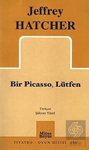 Bir Picasso, Lütfen