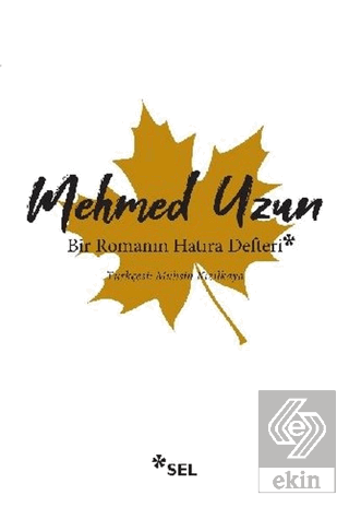 Bir Romanın Hatıra Defteri