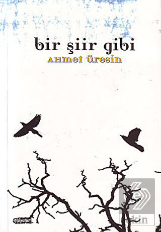 Bir Şiir Gibi