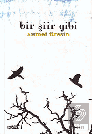 Bir Şiir Gibi