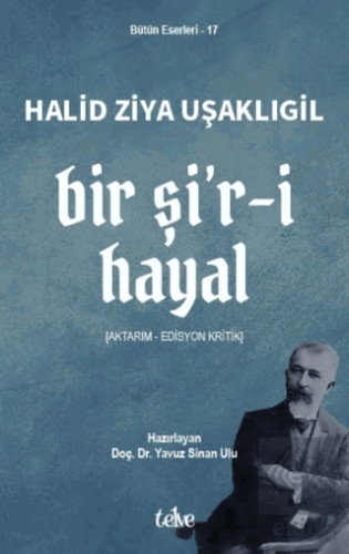Bir Şi'r-i Hayal