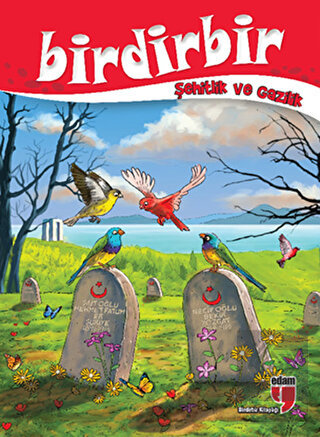 Birdirbir - Şehitlik ve Gazilik