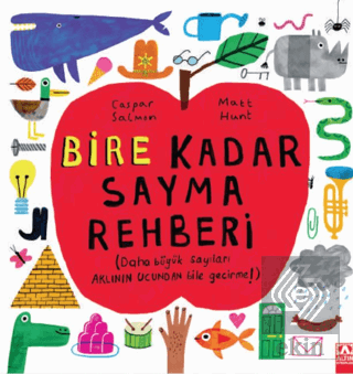 Bire Kadar Sayma Rehberi