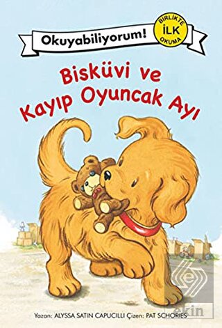 Bisküvi ve Kayıp Oyuncak Ayı