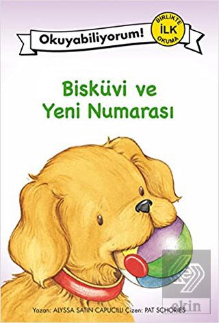 Bisküvi ve Yeni Numarası