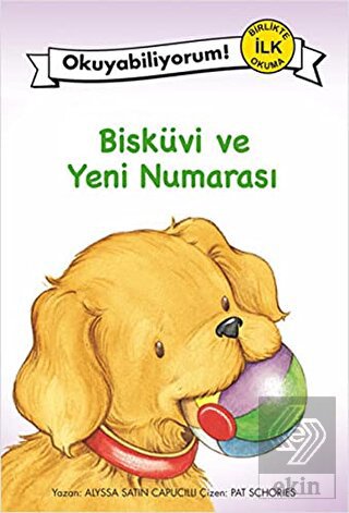 Bisküvi ve Yeni Numarası