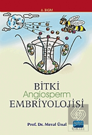 Bitki Angiosperm Embriyolojisi