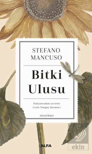 Bitki Ulusu