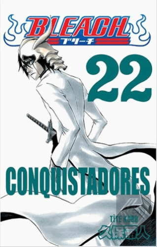 Bleach 22. Cilt