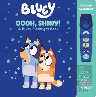Bluey - Oooh, Shiny! Kolektif Pi Kids Satın Al - ekinkitap.com