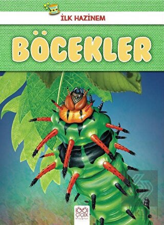 Böcekler - İlk Hazinem
