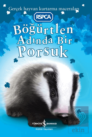 Böğürtlen Adında Bir Porsuk