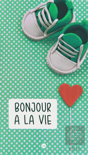 Bonjour a la Vie (Hayata Merhaba) Fransızca