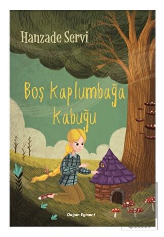 Boş Kaplumbağa Kabuğu