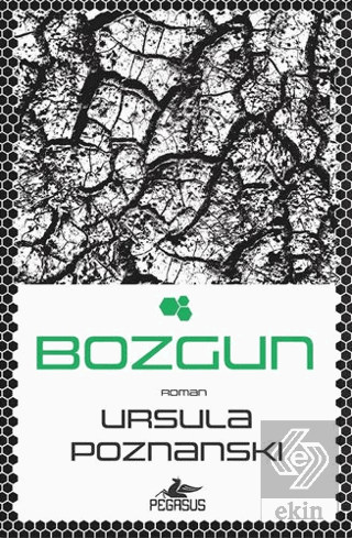 Bozgun