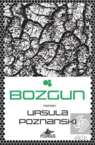 Bozgun