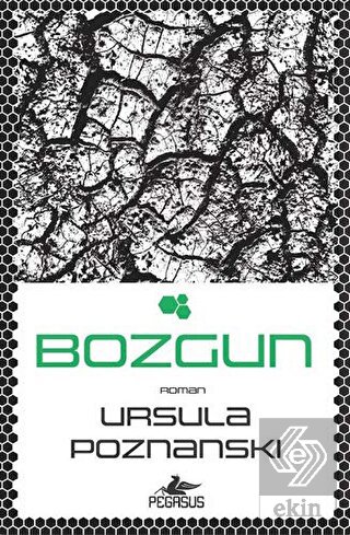 Bozgun