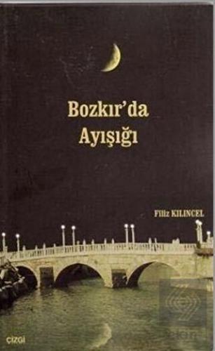 Bozkır'da Ayışığı