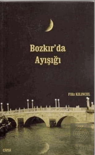 Bozkır'da Ayışığı