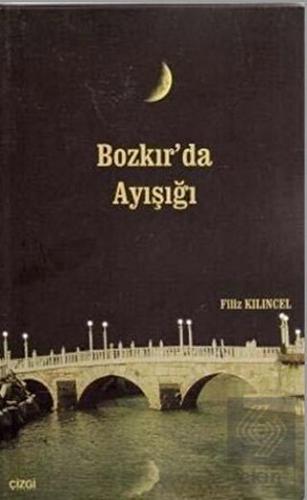 Bozkır'da Ayışığı