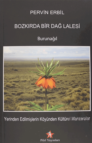 Bozkırda Bir Dağ Lalesi