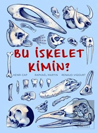 Bu İskelet Kimin?