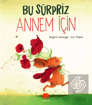 Bu Sürpriz Annem İçin