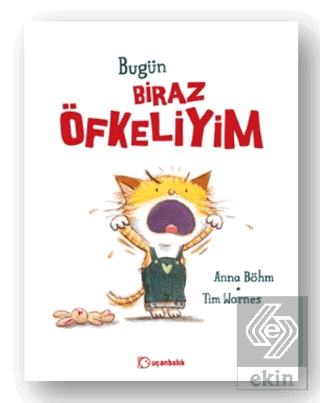 Bugün Biraz Öfkeliyim