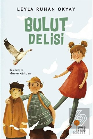 Bulut Delisi