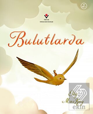 Bulutlarda