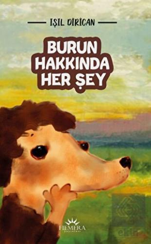 Burun Hakkında Her Şey